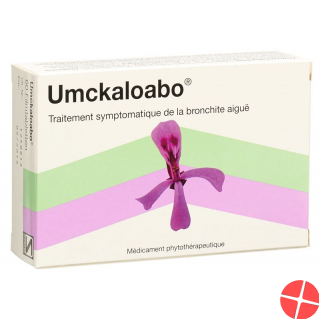 Umckaloabo Filmtabletten 60 Stück
