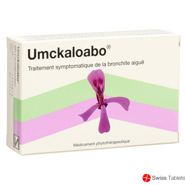 Umckaloabo Filmtabletten 60 Stück buy online