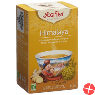 Yogi Tee Himalaya Beutel 17 Stück