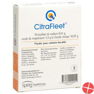 CitraFleet PLV Battalion 2 pcs