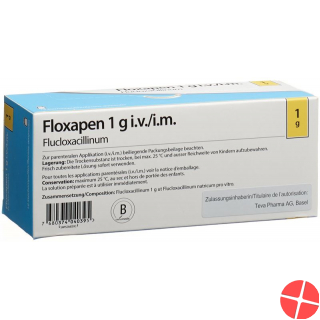 Floxapen Trockensubstanz 1g Durchstechflasche 10 Stück