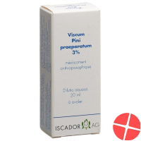 Iscador Viscum Pini Praeparatum 3% Dilutio aquosa 20 ml