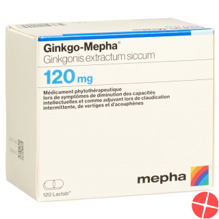 Ginkgo Mepha Lactab 120 mg 120 pcs