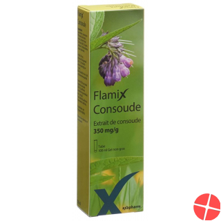 FLAMIX comfrey gel Tb 100 ml