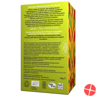 Pukka Drei Ingwer Tee Bio Beutel 20 Stück