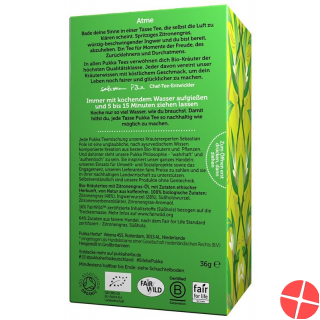 Pukka Zitronengras & Ingwer Tee Bio Beutel 20 Stück Pukka Zitronengras & Ingwer Tee Bio Beutel 20 Stück