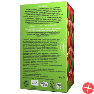 Pukka Wildapfel & Zimt Tee Bio Beutel 20 Stück