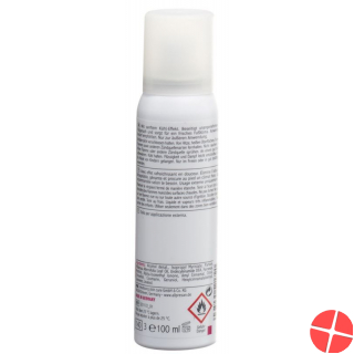 Allpresan Fuss Spezial 5 Deo Schwitzende Füsse 100ml