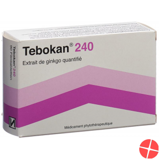 Tebokan Filmtabletten 240mg 90 Stück