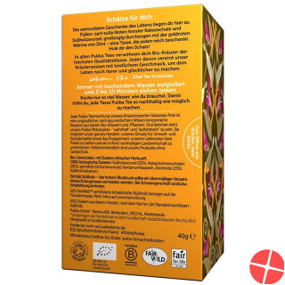 Pukka Cacao Chai Tee Bio Beutel 20 Stück