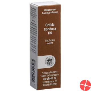Sanum Grifola Frondosa Tropfen D 5 10ml