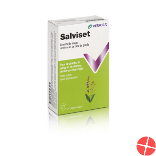 Salviset Pastillen 24 Stück