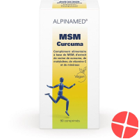 Alpinamed MSM Curcuma 90 tablets