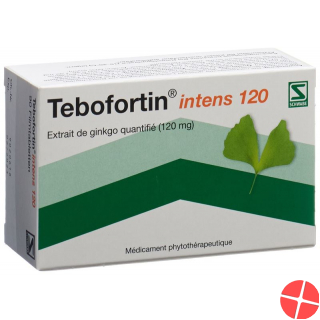 Tebofortin Intens 120 Filmtabletten 120mg 90 Stück