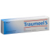 TRAUMEEL S Gel Tb 100 g buy online
