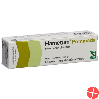 Hametum Salbe mit Kanüle (neu) Tube 25g