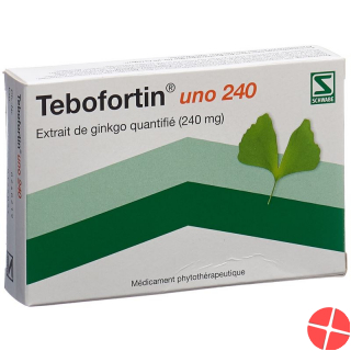 Tebofortin Uno 240 Filmtabletten 240mg 60 Stück