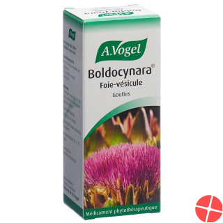 Vogel Boldocynara Leber-Galle Tropfen Flasche 50ml