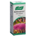 Vogel Boldocynara Leber-Galle Tropfen Flasche 50ml buy online