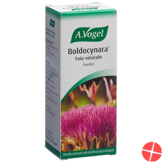 Vogel Boldocynara Leber-Galle Tropfen Flasche 100ml