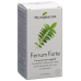 Phytopharma Ferrum Forte Capsules Tin 100 pieces buy online