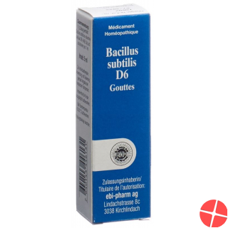 Sanum Bacillus Subtilis Tropfen D 6 (neu) Flasche 5ml