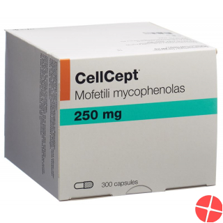 Cellcept (pi) Kapseln 250mg 300 Stück