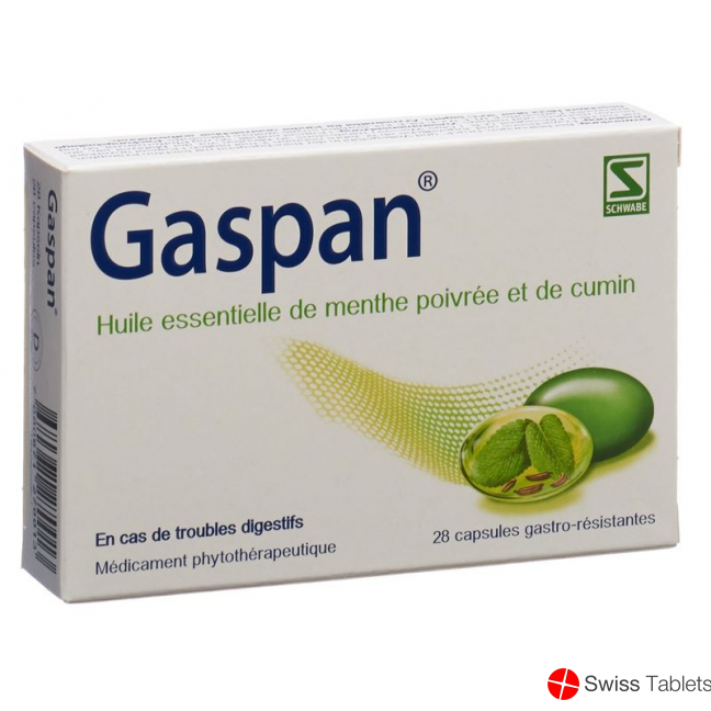 Gaspan Kapseln Magensaftresistent 28 Stück buy online