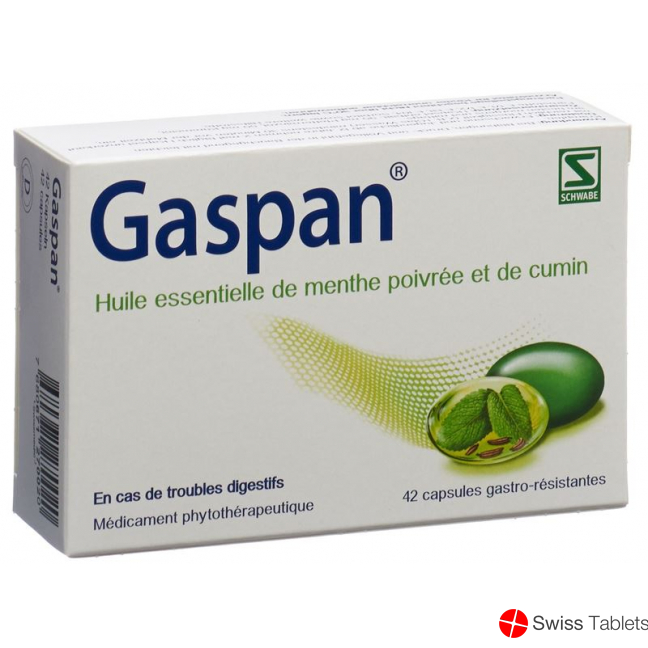 Gaspan Kapseln Magensaftresistent 42 Stück buy online