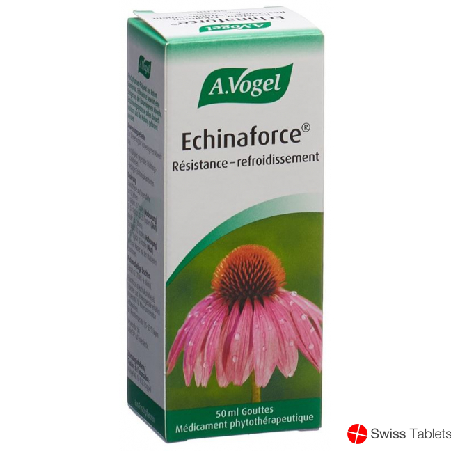 Vogel Echinaforce Resistenz-Erkältung Tropfen 50ml buy online