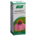 Vogel Echinaforce Resistenz-Erkältung Tropfen 50ml buy online