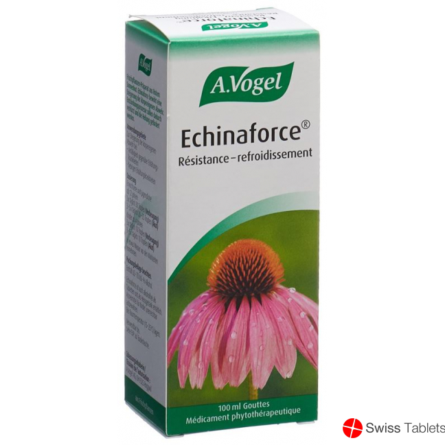 Vogel Echinaforce Resistenz-Erkältung Tropfen 100ml buy online