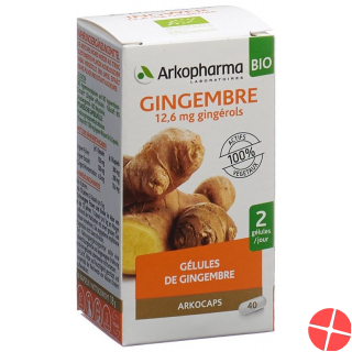 Arkocaps Ingwer Kapseln Bio Dose 40 Stück