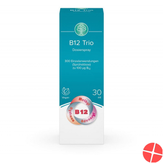 Swidro B12 Trio Dosierspray 30ml