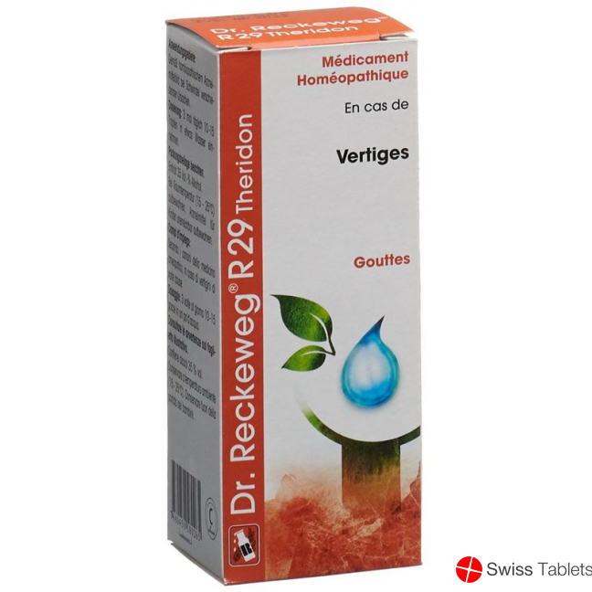 Reckeweg R29 Theridon Tropfen Flasche 50ml buy online