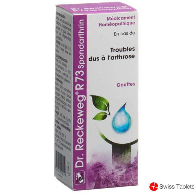 Reckeweg R73 Spondarthrin Tropfen Flasche 50ml buy online