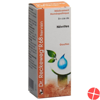 Reckeweg R68 Nervisin Tropfen Flasche 50ml