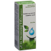 Reckeweg R40 Diaglukon Tropfen Flasche 50ml buy online