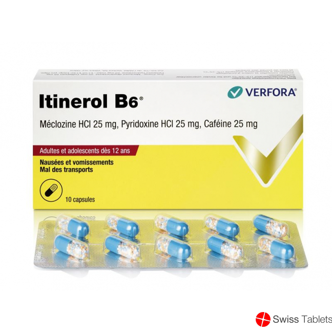 Itinerol B6 10 Kapseln buy online