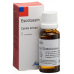 Escotussin Tropfen 20ml buy online