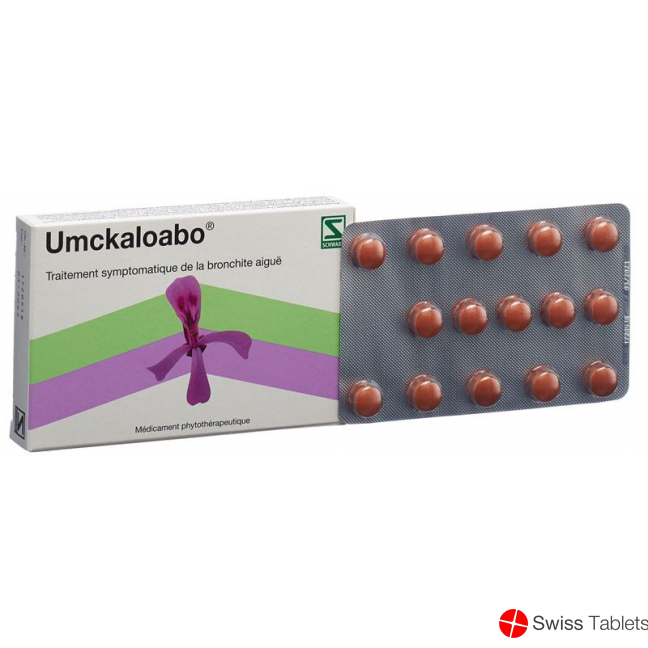 Umckaloabo Filmtabletten 30 Stück buy online