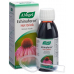 A. Vogel Echinaforce Hot drink hot drink 100 ml
