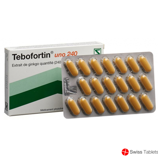 Tebofortin Uno 240 Filmtabletten 240mg 40 Stück buy online