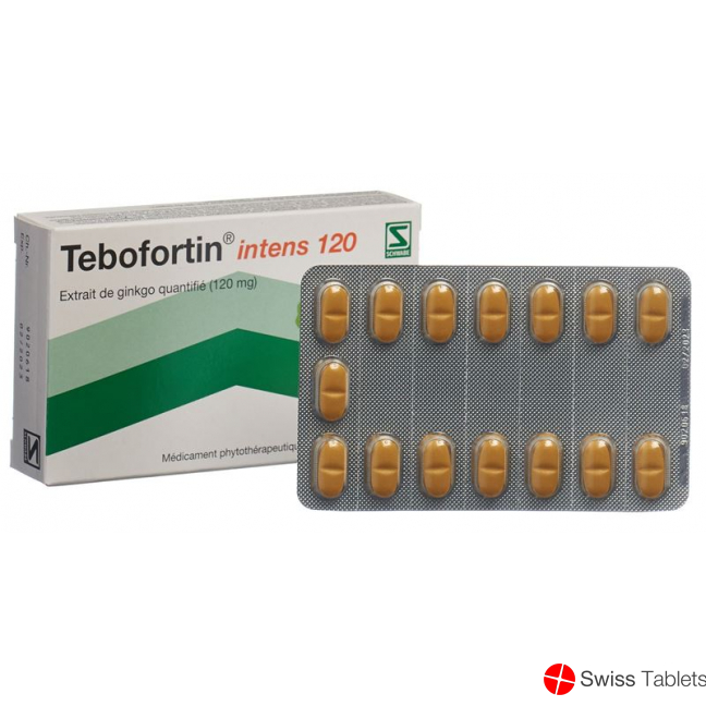 Tebofortin Intens 120 Filmtabletten 120mg 30 Stück buy online