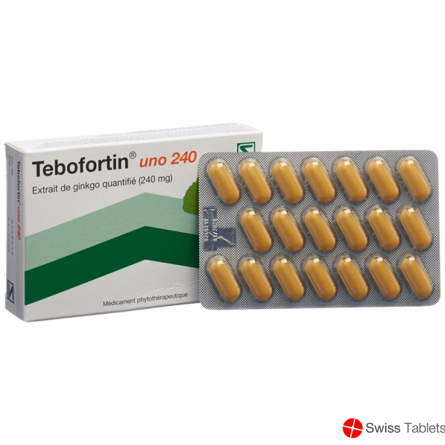 Tebofortin Uno 240 Filmtabletten 240mg 60 Stück buy online
