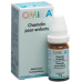 Omida Chamolin Globuli Kind ohne Zucker Flasche 10g buy online