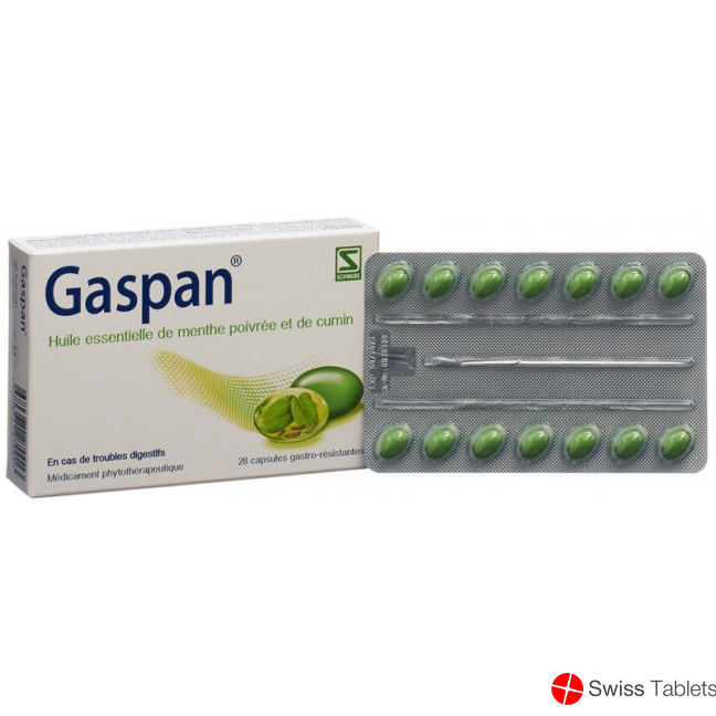 Gaspan Kapseln Magensaftresistent 28 Stück buy online