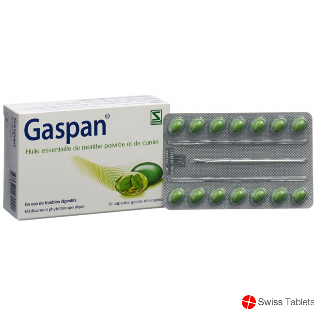 Gaspan Kapseln Magensaftresistent 42 Stück buy online