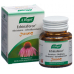 A. Vogel Echinaforce cold resistance Junior tbl glass 120 pcs