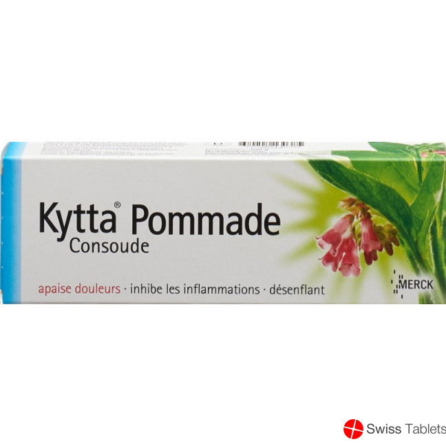 Kytta Salbe 100g buy online